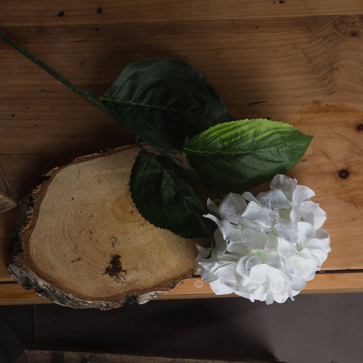 White Small Head Hydrangea