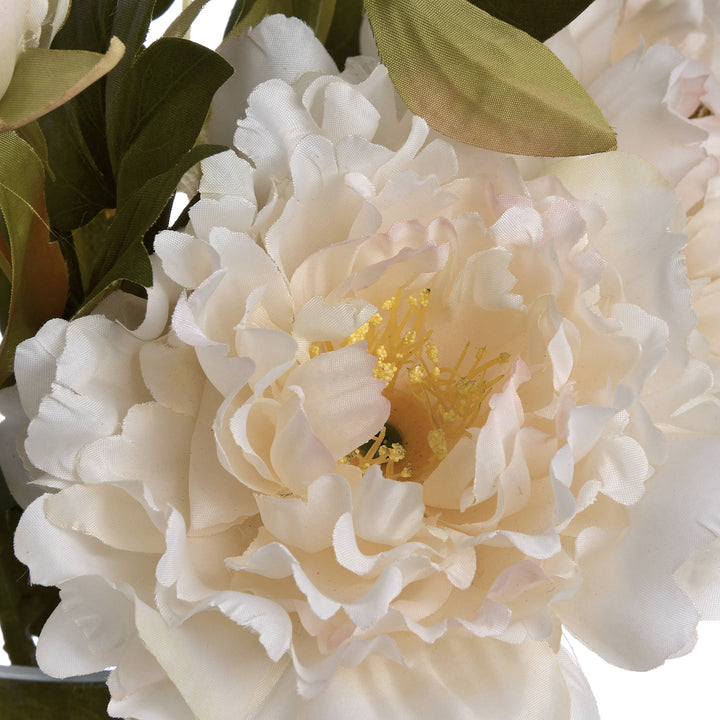 White Fashion Peony