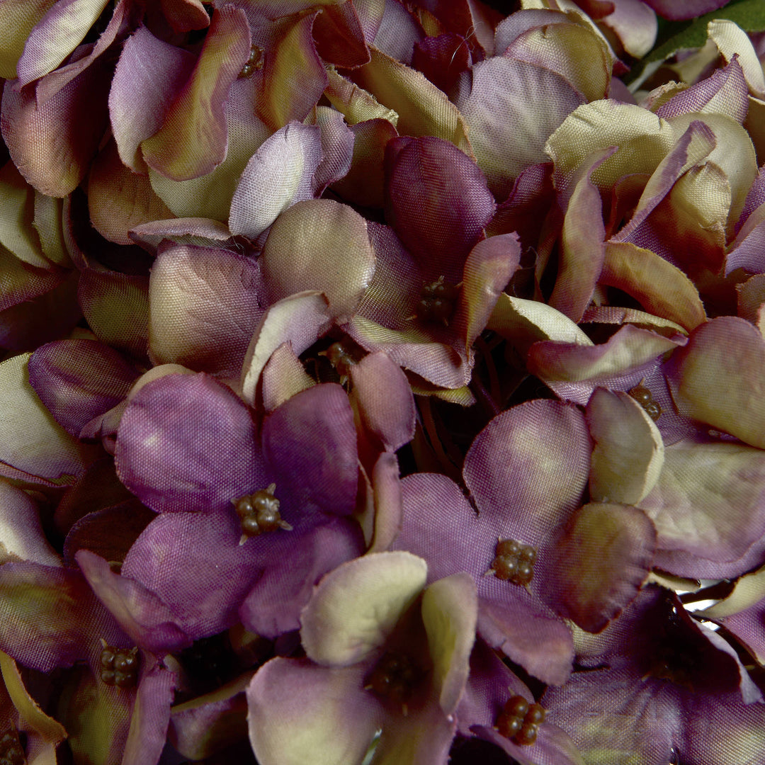 Autumn Burgundy Hydrangea