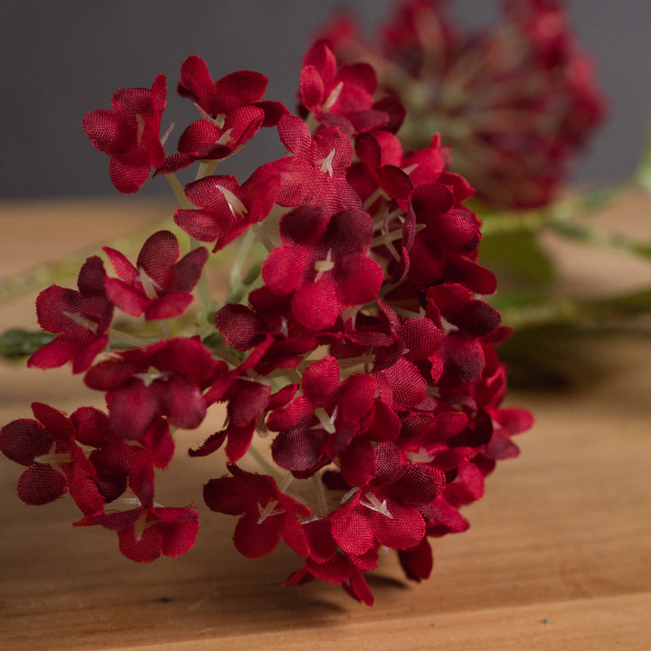 Red Autumnal Viburnum