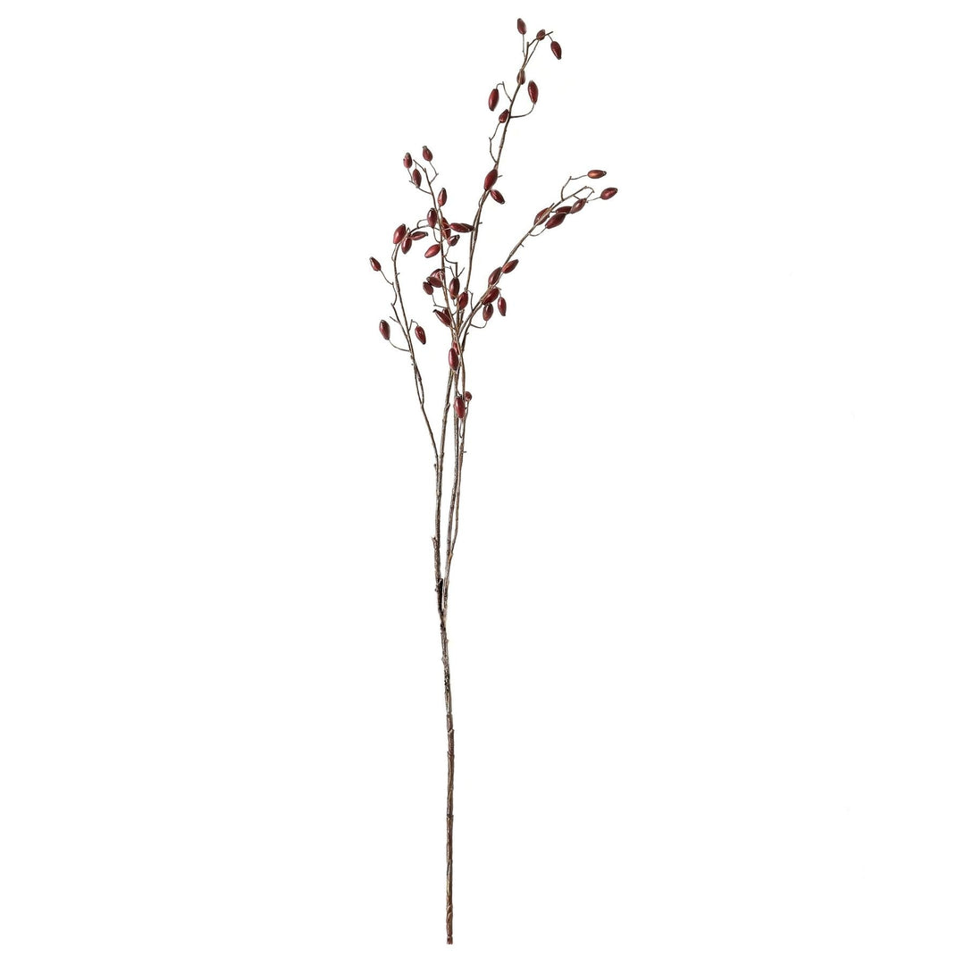 Burgundy Rosehip Stem