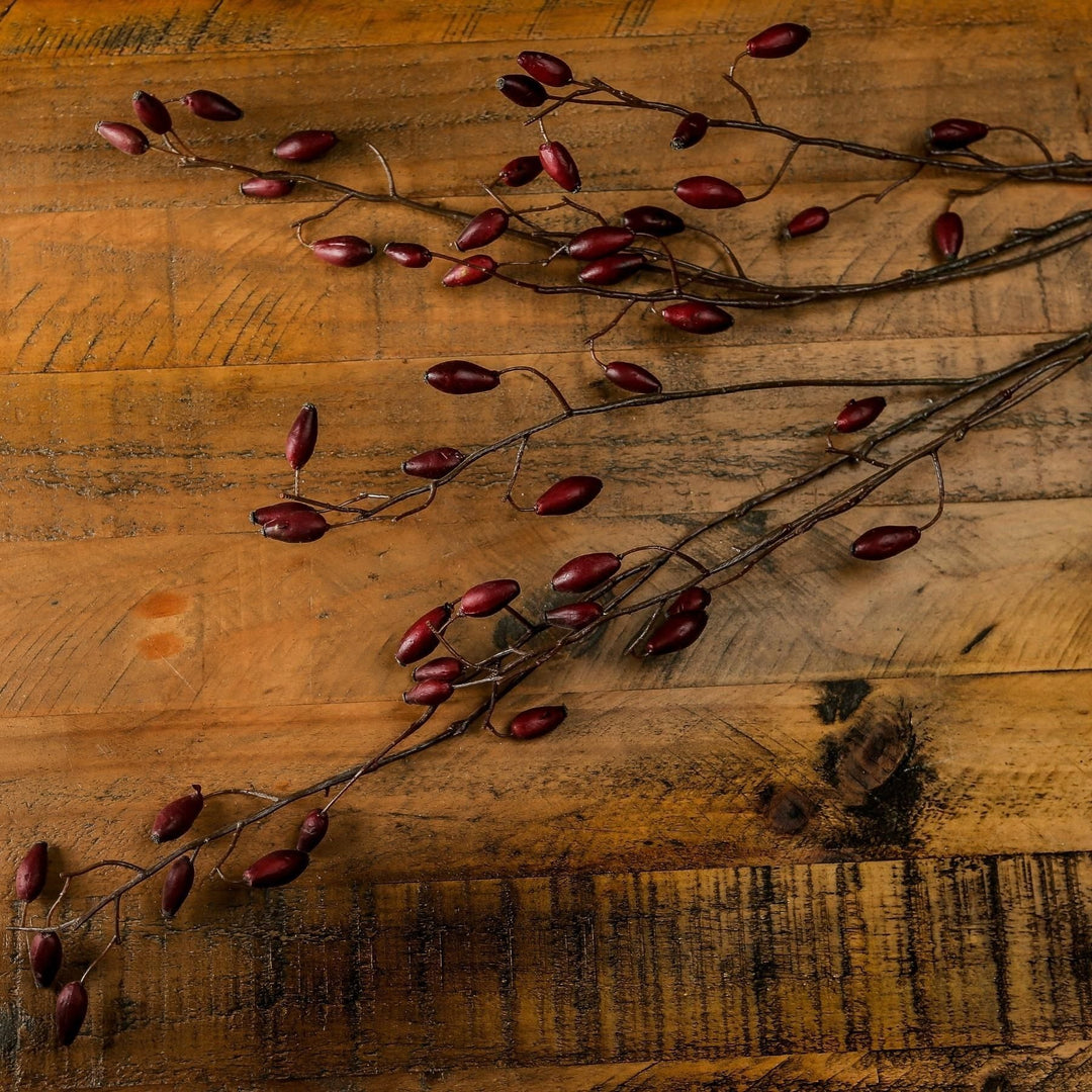 Burgundy Rosehip Stem