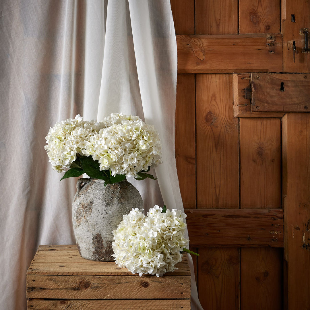 White Hydrangea Bunch