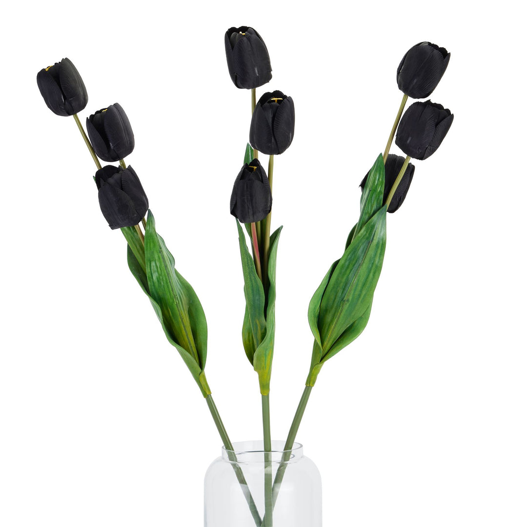 Tall Black Triple Tulip Stem