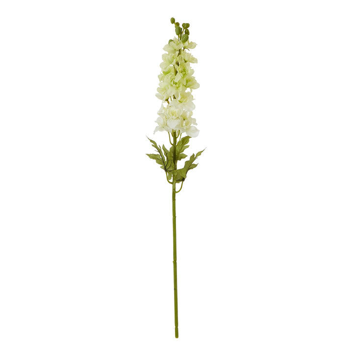 The Natural Garden Collection White Elatum Delphinium