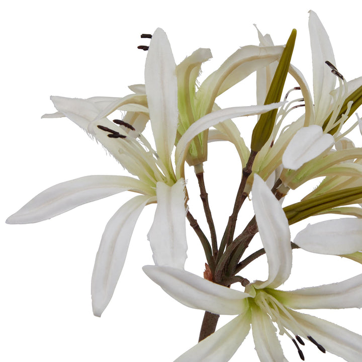 The Natural Garden Collection White Nerine Lily Stem