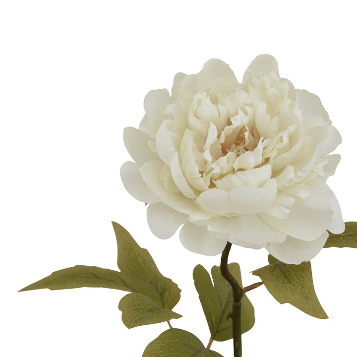 The Natural Garden Collection White Peony