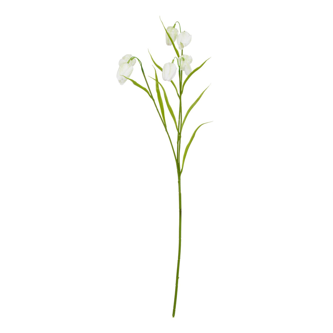 The Natural Garden Collection White Fritillaria Stem