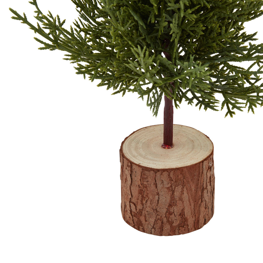 Small Green Fir Tree In Wood Log