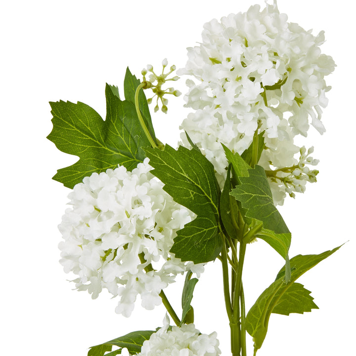 Cream Snowball Viburnum Spray