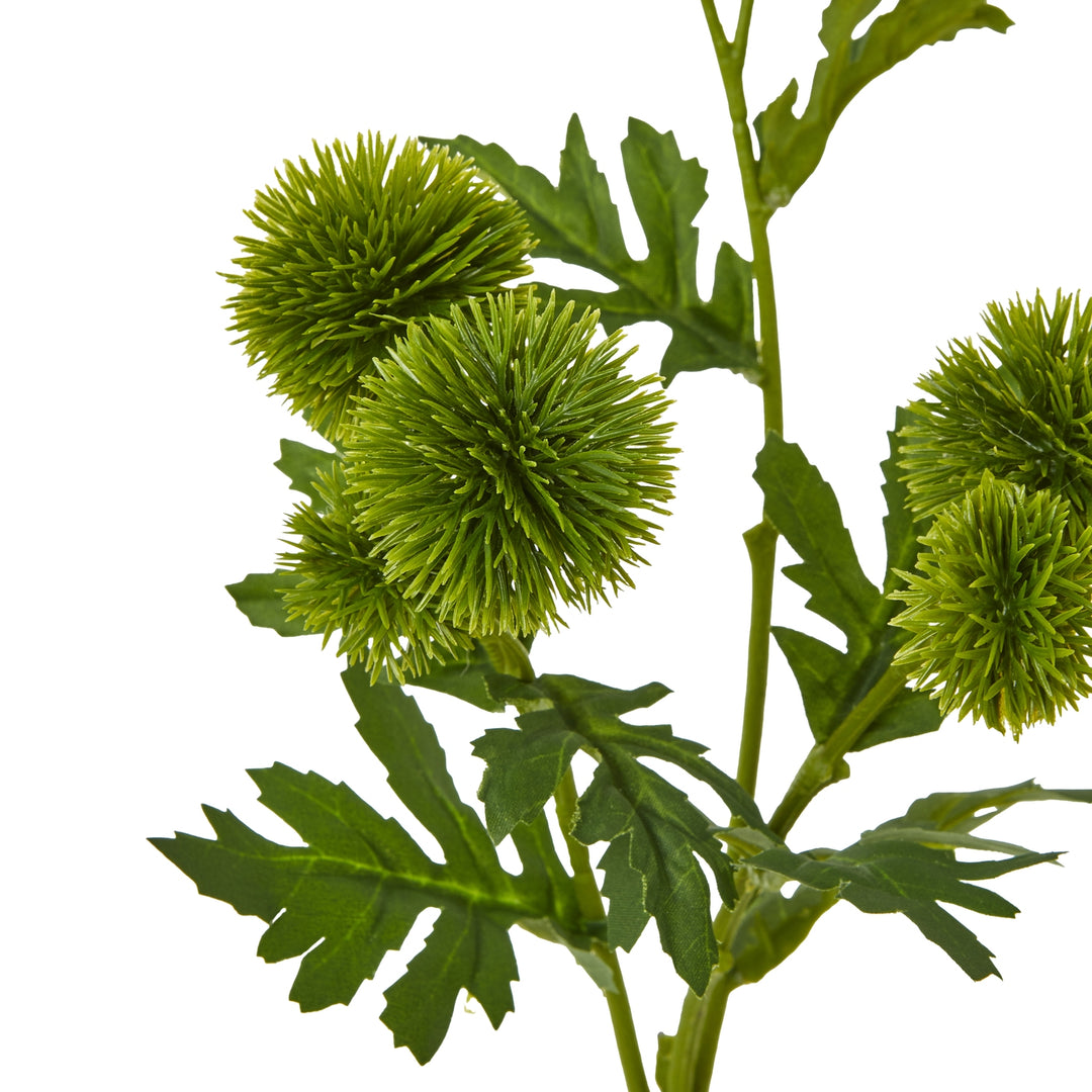 Green Globe Thistle Spray