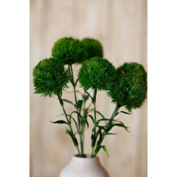 Dark Green Dianthus Stem