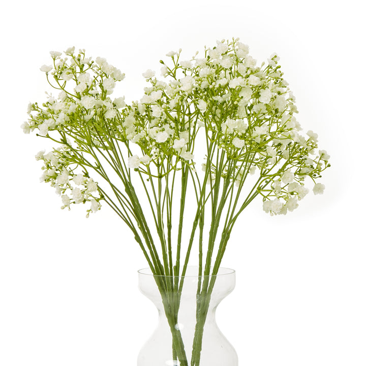 Cream Gypsophila Stem