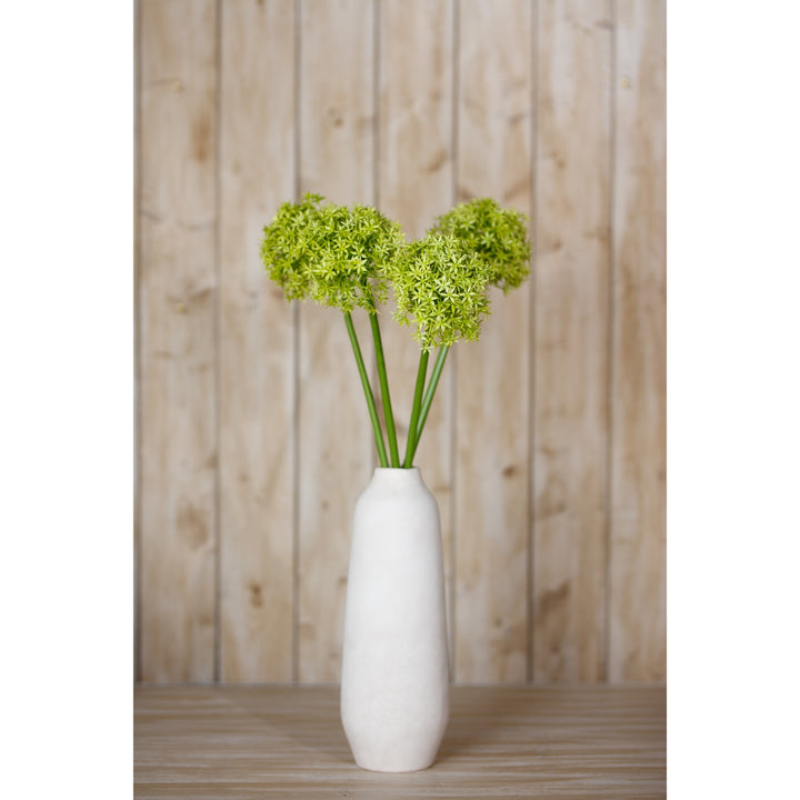 Green Giant Allium Stem