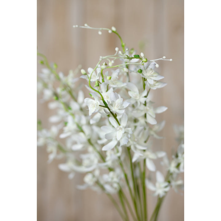 White Cymbidium Spray