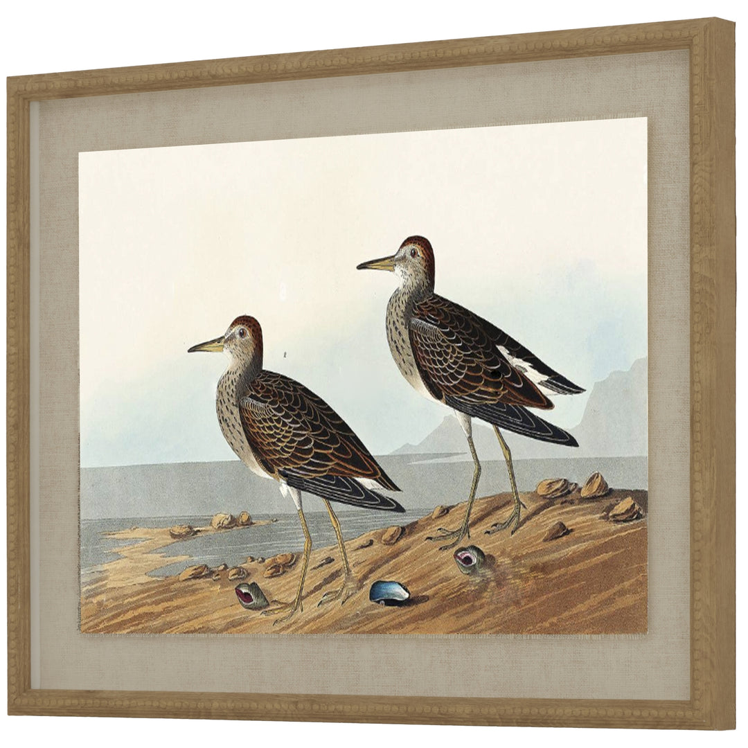 Flora & Fauna Collection Sandpipers On Linen In Beaded Frame