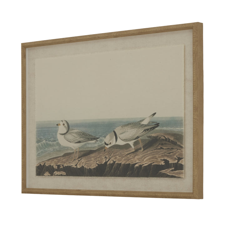 Flora & Fauna Collection Plovers On Linen In Beaded Frame