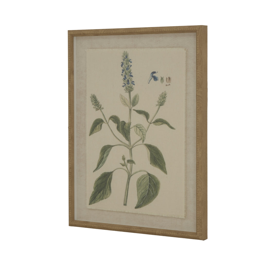 Flora & Fauna Collection Salvia On Linen In Beaded Frame