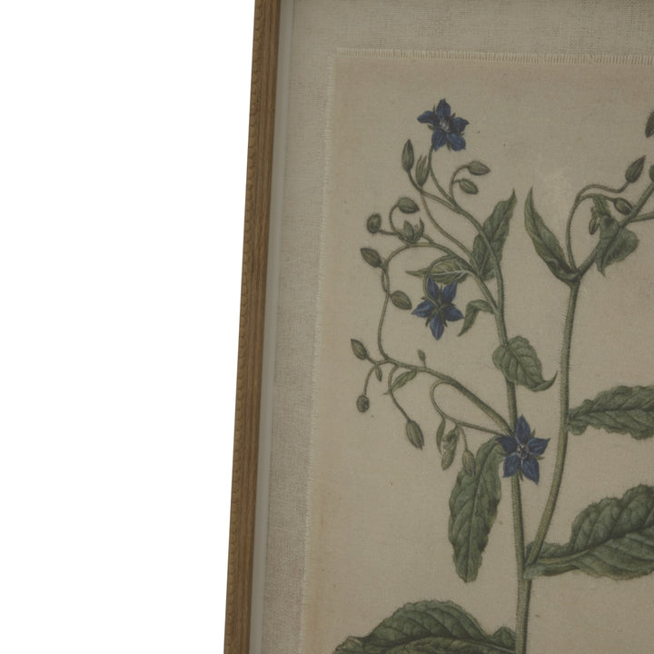 Flora & Fauna Collection Borage On Linen In Beaded Frame