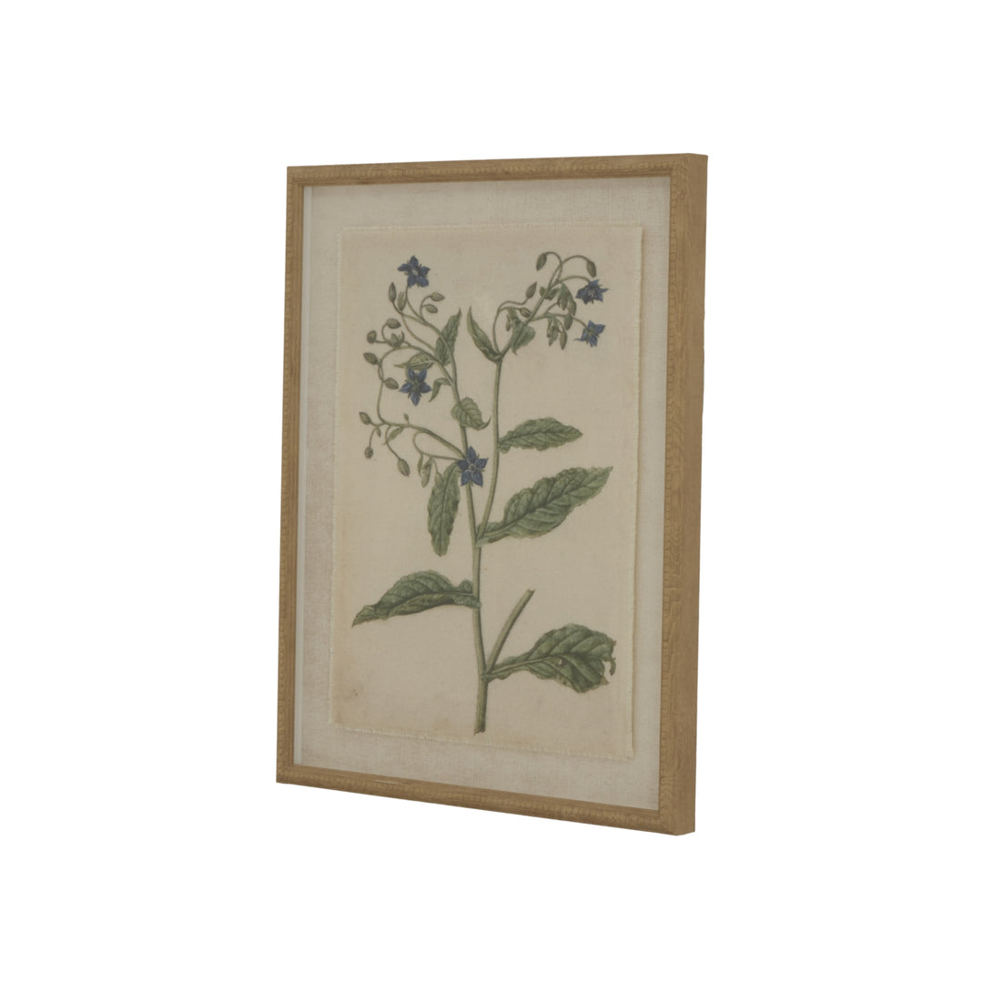 Flora & Fauna Collection Borage On Linen In Beaded Frame