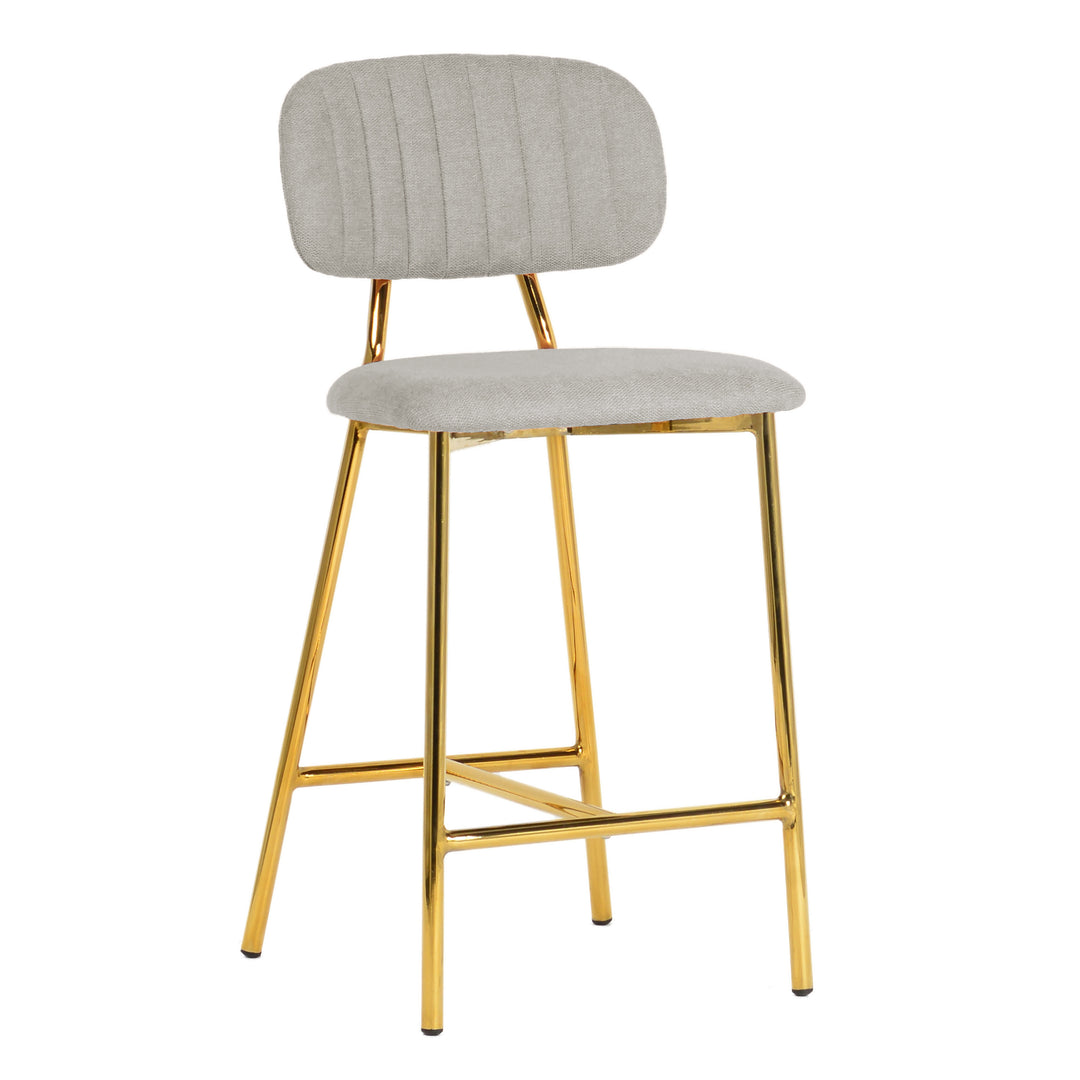 Ariana Grey Counter Stool (Set of 2)