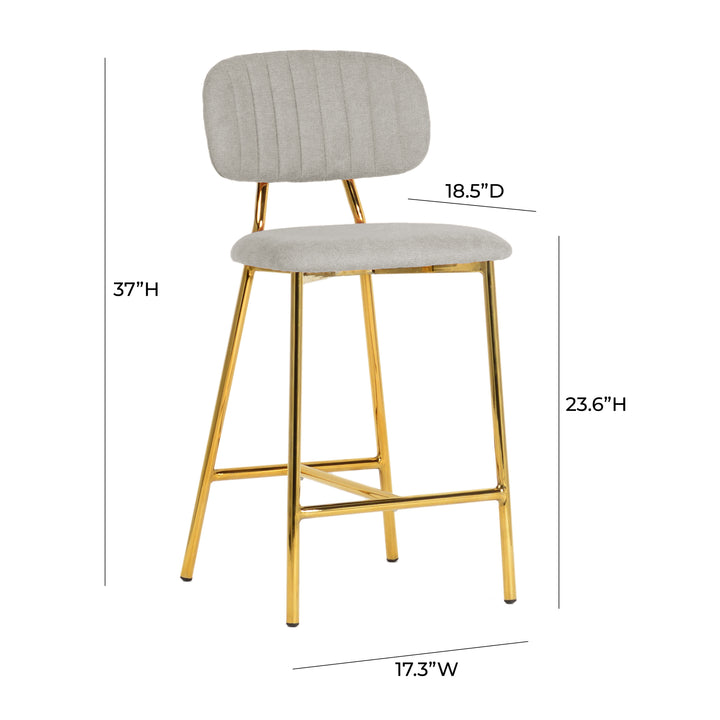 Ariana Grey Counter Stool (Set of 2)