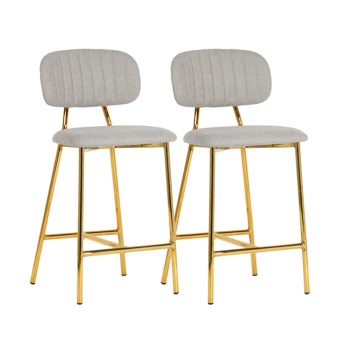 Ariana Grey Counter Stool (Set of 2)